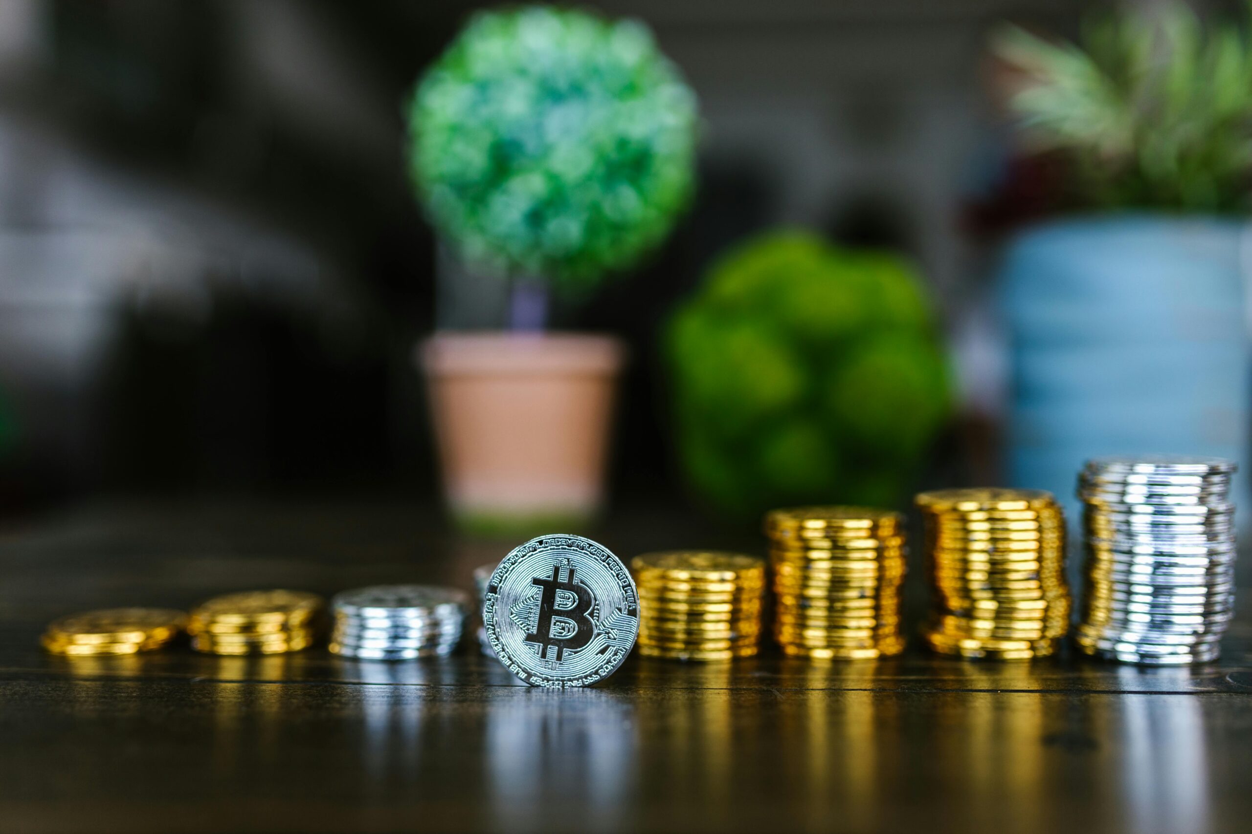 Close-up of a Bitcoin and stacked coins with a blurred plant background, symbolizing finance and investment.